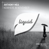 Anthony Mea – Nowhere in November