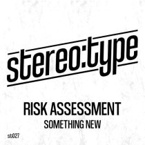 Risk Assessment – SOMETHING NEW