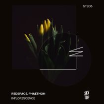 Redspace & Phaéthon – Inflorescence