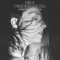 Birdy – Paradise Calling (Henri Bergmann Remix)