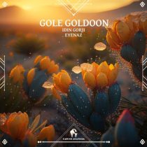 Idin Gorji, Cafe De Anatolia & EyeNaz – Gole Goldoon