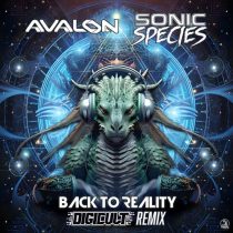 Sonic Species & Avalon – Back To Reality (DigiCult Remix)