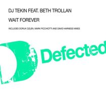 DJ Tekin – Wait Forever