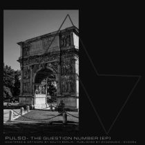 Pulso – The Question Number