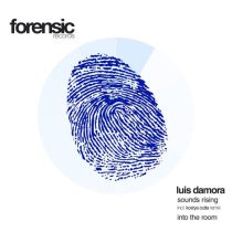 Luis Damora – Sounds Rising / Into the Room
