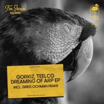 Gorkiz & TEELCO – Dreaming of Arp