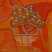 Cooper James – Voices