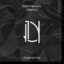 Sam Hendrix – I Want You