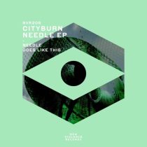 Cityburn – Needle EP