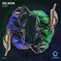 Paul Denton – Wasp