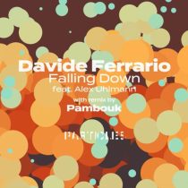 Davide Ferrario – Falling Down