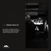 VA – Hidden Gems IX