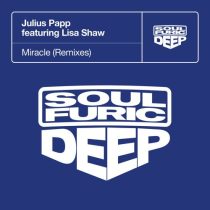 Julius Papp & Lisa Shaw – Miracle – Remixes