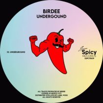 Birdee – Undergound