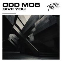 Odd Mob – Give You (Extended Mix)