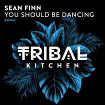 Sean Finn – You Should Be Dancing