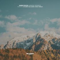 Mario Puccio – Harmony (Remixes)