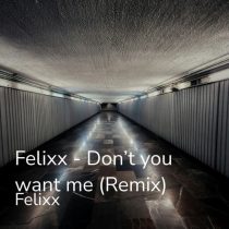 Felixx – Don’t You Want Me (Remix)