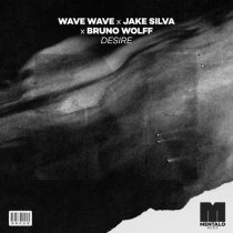 Wave Wave, Jake Silva & Bruno Wolff – Desire (Extended Mix)