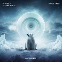 VA – Winter Sampler 2