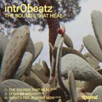 Intr0beatz – The Sounds That Heal