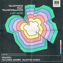Valdovinos, Valdovinos & Transformation – A Bit More