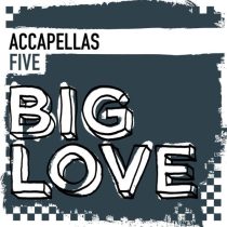 VA – Big Love Accapellas 5