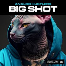 Analog Hustlers – Big Shot