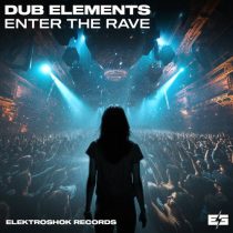 Dub Elements – Enter The Rave
