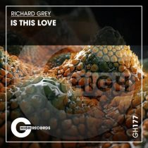 Richard Grey – Is This Love