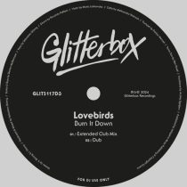 Lovebirds – Burn It Down
