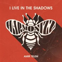 Amir Telem – I Live In The Shadows