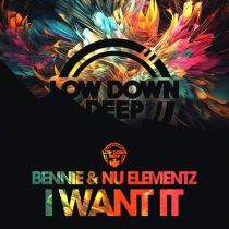 Nu Elementz & Bennie – I Want it