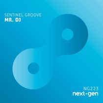 Sentinel Groove – Mr. DJ