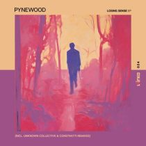Pynewood – Losing Sense EP