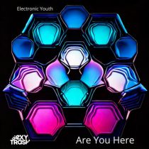 Electronic Youth – Are You Here