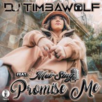DJ Timbawolf & Mei Sing – Promise Me
