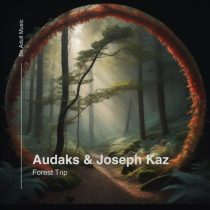 Joseph Kaz & Audaks, Audaks – Forest Trip