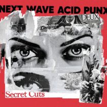 VA – Next Wave Acid Punx DEUX – Secret Cuts