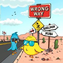 Kubi & DJ Sheldon – Wrong Way