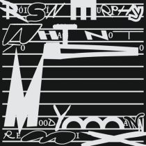 DJ Koze & Roisin Murphy – What Not to Do (Moodymann Remix)