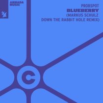 Probspot – Blueberry – Markus Schulz Down The Rabbit Hole Remix