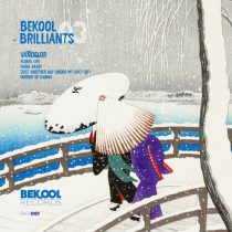 Vandelor – Bekool Brilliants 03