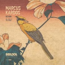 Marcus Kardos – Return