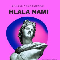 Dr Feel & Sontshikazi – Hlala Nami