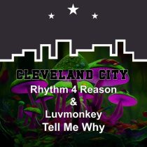 Rhythm 4 Reason & Luvmonkey – Tell Me Why