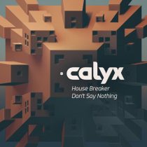 Calyx – House Breaker / Don’t Say Nothing