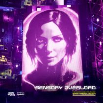 Synthsoldier – Sensory Overload