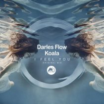 Koala, Darles Flow & M-Sol DEEP – I Feel You