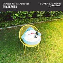 David Keno, Lars Moston & Murmur Tooth – This Is Wild (Extended Mix)
